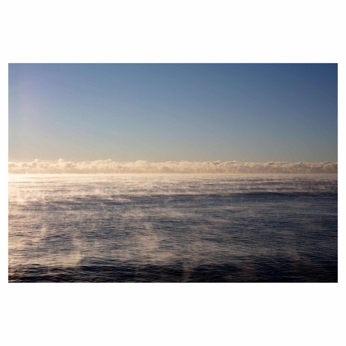 0M6A5484