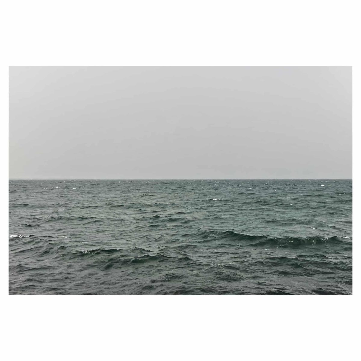 IMG_8578